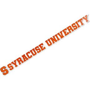 Desert Cactus Syracuse University Orange Name Logo Vinyl Decal Laptop Water Bottle Car Scrapbook (15 Inch Sticker)