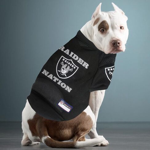 Pets First OAK-4000-LG Raiders Raglan Jersey, Multicolor, One Size in Saudi Arabia