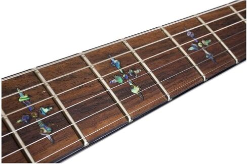 مجموعة جيتار كهربائي Schecter Hellraiser C-1 مكون من 6 أوتار (اليد اليمنى، كرز أسود) مع حقيبة حمل ذات هيكل صلب (قطعتان) in Kuwait