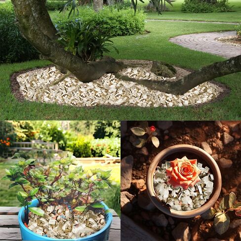 HappyFiller Decorative Fuchsia Driftwood Chips Organic Orchid Potting Bark Natural Orchid Fertilizer,Garden Landscaping,Plants Soil Cover,Indoor Plants Decoration,5.5 OZ in Saudi Arabia