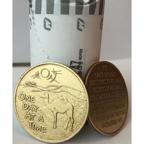 Bulk Lot of 25 Camel Desert Scene One Day at A Time Bronze Medallions Chips
