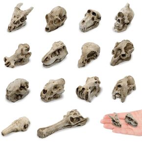 14 Pcs 1.5 Inch Halloween Mini Resin Animal Skull Heads Miniature Animal Skull Figurines Mini Halloween Skulls Mini Skull Figurine Miniature Skulls for Crafts Halloween Christmas Micro Landscape Decor