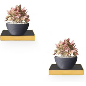 Small Floating Shelf, Square Matte Gold Metal with Clear Acrylic, Set of 2 Small Shelves for Wall Décor (Medium 5.75 inch)
