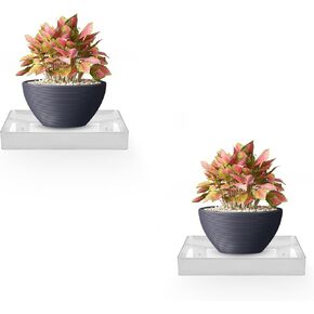 Small Floating Shelf, Square Matte Gold Metal with Clear Acrylic, Set of 2 Small Shelves for Wall Décor (Medium 5.75 inch)