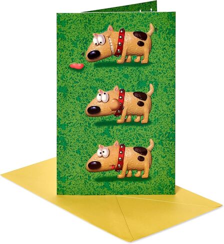 American Greetings Funny Birthday Card (Squirrel) in Saudi Arabia
