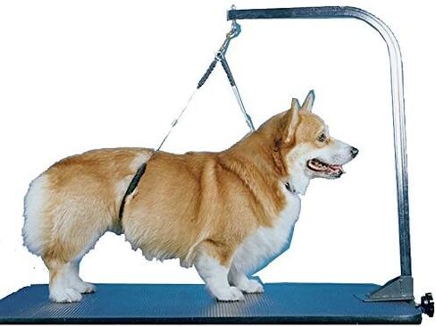 No-Sit Haunch Holder Dog Grooming Restraint - Large Dogs in Kuwait