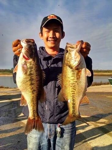 طعم صيد سمك زنبركي متعدد الوصلات مقاس 4 بوصات طُعم صيد سمك البيس طعم صلب وبطيء وسريع الغرق مثل الحياة الكبيرة مثل الحوصلة الكبيرة شاد أسماك البلوجيل in Kuwait