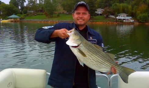 طعم صيد سمك زنبركي متعدد الوصلات مقاس 4 بوصات طُعم صيد سمك البيس طعم صلب وبطيء وسريع الغرق مثل الحياة الكبيرة مثل الحوصلة الكبيرة شاد أسماك البلوجيل in Kuwait