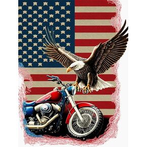 Motorcycle 5D DIY Diamond Painting Kits for Adults Diamond Painting Full Drill Shiny Rhinestone Embroidery Cross Stitch Art Craft for Home Wall Decoration 12x16 inch