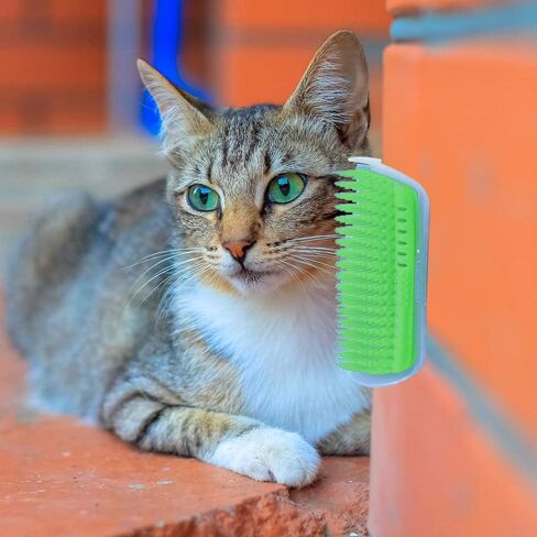 Hub's Gadget 2 Pack Cat Self Groomer, Wall Corner Massage Comb Grooming Brush (Green) in Saudi Arabia