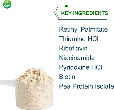 نوترا بيوجينيسيس - الفانيليا النباتية فائقة النعومة - مخفوق الطعام الوظيفي، المشروبات الغذائية المجففة، مكمل البروتين النباتي - 1.2 رطل in Kuwait