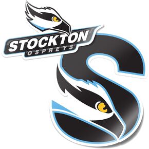 Desert Cactus Stockton University Ospreys Sticker Vinyl Decal Laptop Water Bottle Car Scrapbook (4 Inch Set V1)