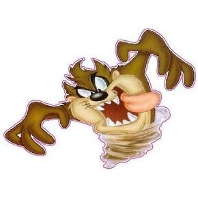 Set of 3 - Tasmanian Devil