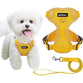 AIITLE صدرية للكلاب قابلة للتنفس للغاية، حزام للكلاب قابل للتعديل مع مقود - شريط عاكس بمساحة كبيرة وإبزيم سريع التحرير - أحزمة خارجية مضادة للهروب للحيوانات الأليفة للكلاب المتوسطة الحجم أصفر L in Kuwait