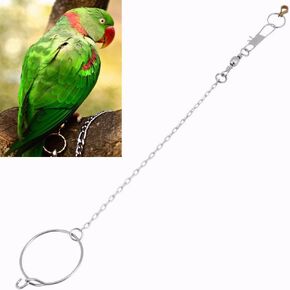 Bird Anklet Chain, Parrot Foot Ring Stainless Steel Bird Leash Parrot Opening Activity Ring Bird Stand Anklet Pet Bird Supplies for Nyasa Lovebird Cockatiel