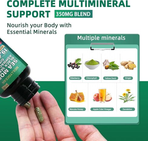 طحالب البحر 7000 ملغ من زيت الحبة السوداء 4000 ملغ من أشواغاندا 2000 ملغ من مزيج الزنجبيل مع الكركم 2000 ملغ من الأرقطيون وفيتامين د3 وفيتامين C مع كلوروفيل ACV ومانوكا بلسانهم والهندباء الصفراء. in Kuwait