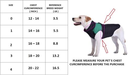 Cute Dog Vest Small Dog Harnesses with Leash Set - Soft Adjustable Mesh Harness and Lead Cute Puppy Walking Leads Chihuahua/Black/Pink in Saudi Arabia