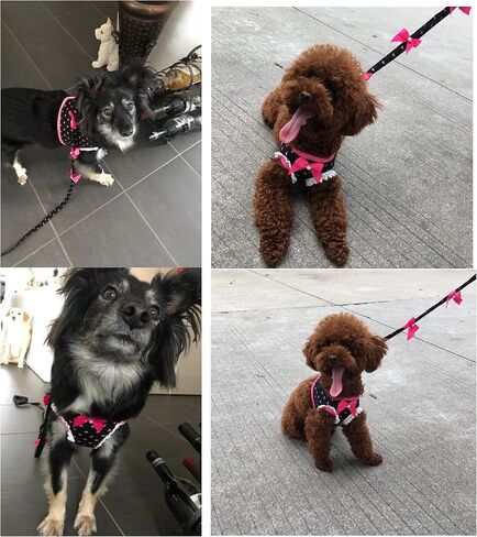 Cute Dog Vest Small Dog Harnesses with Leash Set - Soft Adjustable Mesh Harness and Lead Cute Puppy Walking Leads Chihuahua/Black/Pink in Saudi Arabia