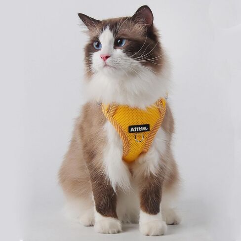 AIITLE صدرية للكلاب قابلة للتنفس للغاية، حزام للكلاب قابل للتعديل مع مقود - شريط عاكس بمساحة كبيرة وإبزيم سريع التحرير - أحزمة خارجية مضادة للهروب للحيوانات الأليفة للكلاب المتوسطة الحجم أصفر L in Kuwait