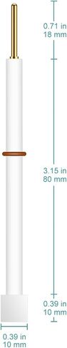 stonylab Stainless Steel Electrode, 10 x 10 x 0.1 mm Laboratory Electrode with Stainless Steel Sheet Plate and PTFE Body for stonylab Electrolytic Cell Electrode in Saudi Arabia