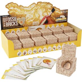 Dig a Dozen Fossil Bricks - Break Open 12 Bricks and Discover 12 Unique Real Fossils - Archaeology Science STEM Easter Gift