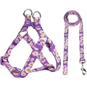 Green Daisy Pattern Basic Dog Halter Harness Leash Set, No Pull, Easy Wear for Small Dogs.(XS, Green Daisy)