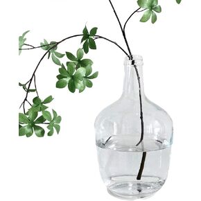 BUICCE Small Clear Glass Jug Vase Round Flower Decorative Bubble Vase for Pampas Grass Farmhouse Decor
