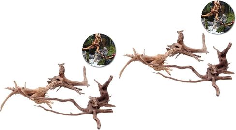 Ipetboom Natural Driftwood for Aquarium - 2pcs Driftwood for Freshwater Aquarium Hamster Water Bottle - Aquarium Decor Spider Wood Freshwater Fish Tank Reptile Driftwood Branch in Saudi Arabia