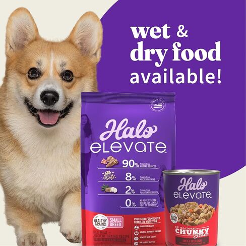 Halo Elevate Dry Dog Food, Healthy Grains Red Meat Recipe, Small Breed, 3.5lb in Saudi Arabia