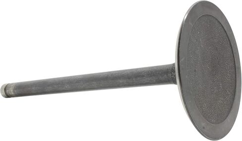 DNJ IV3160 Intake Valve for 1997-2015 / Buick, Cadillac, Chevrolet, GMC, Hummer, Isuzu, Pontiac, Saab / 9-7x, Ascender, Avalanche, Avalanche 1500, Camaro, Canyon, Colorado, Corvette, CTS, Envoy in Saudi Arabia