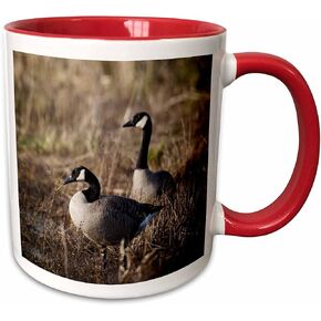 3dRose USA Oregon Basket Slough NWR Pair of Canada Geese Two Tone Mug, 11 oz, Black