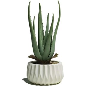 Hanging Artificial Succulent Planted in Woven Basket for Boho Wall Decor & Door Wreath,Fake Plants Hanging Wall Decor for Livingroom Bedroom Bathroom Home & Office Decor
