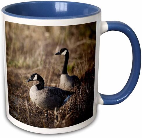 3dRose USA Oregon Basket Slough NWR Pair of Canada Geese Two Tone Mug, 11 oz, Black in Kuwait