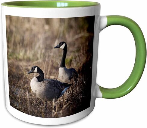 3dRose USA Oregon Basket Slough NWR Pair of Canada Geese Two Tone Mug, 11 oz, Black in Kuwait