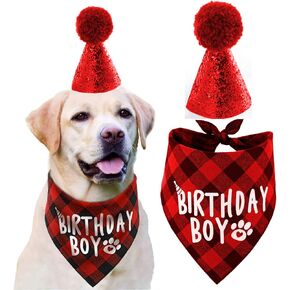 Dog Birthday Hat and Dog Birthday Bandana Boy Set