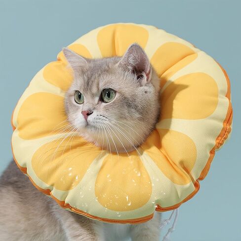 Cat Recovery Soft Collar, Waterproof Soft Recovery Collar. Anti-bite and Anti-Lick Wound Healing Safe Adjustable Elizabethan Collar.(S) Only for Cats up to 6 Months in Size in Saudi Arabia