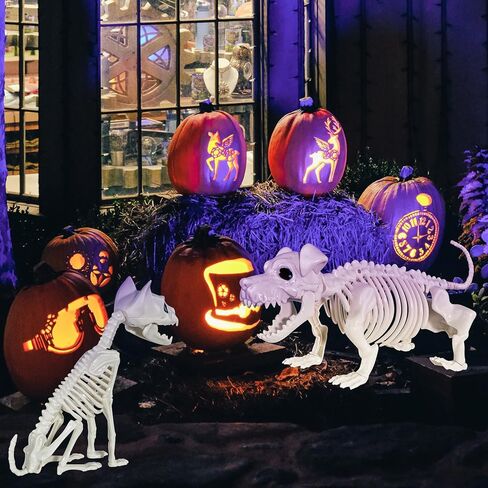 هيكل عظمي للكلب والقط، قطعتان من عظام الهيكل العظمي لحيوانات الهالوين البلاستيكية للمناسبات الداخلية/الخارجية للهالوين، ديكور حفلات مشهد مخيف in Kuwait