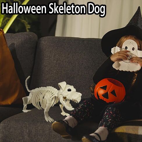 هيكل عظمي للكلب والقط، قطعتان من عظام الهيكل العظمي لحيوانات الهالوين البلاستيكية للمناسبات الداخلية/الخارجية للهالوين، ديكور حفلات مشهد مخيف in Kuwait
