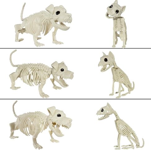 هيكل عظمي للكلب والقط، قطعتان من عظام الهيكل العظمي لحيوانات الهالوين البلاستيكية للمناسبات الداخلية/الخارجية للهالوين، ديكور حفلات مشهد مخيف in Kuwait