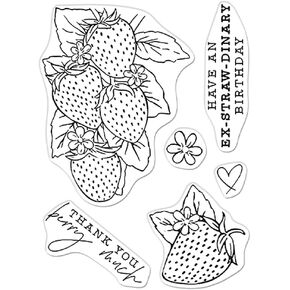 Hero Arts CM540 Hero Florals Strawberries Line Art Clear Stamp Set
