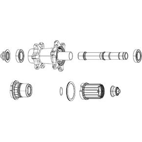 Zipp 177 Rear Hub Spring and Pawl Set, Set of 4
