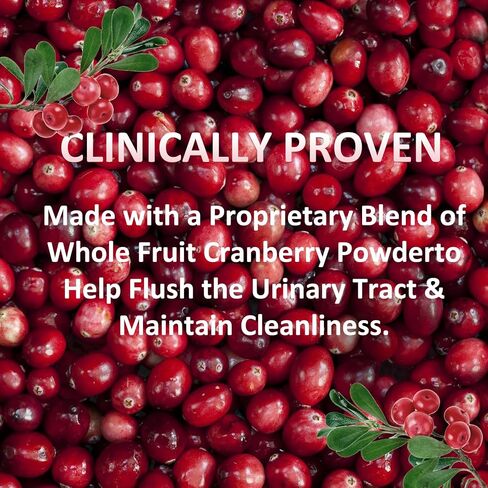 100% Pure Cranberry Capsules, 1000mg, Cranberry Urinary Tract Health Supplement, 1 Serving = 1 Glass of Cranberry Juice, Sugar Free Cranberry Pills, Non-GMO 120 Capsules in Saudi Arabia