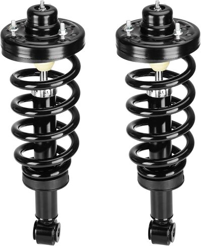 Rear Strut Shock Assembly w/Coil Spring for Ford Expedition/Lincoln Navigator 2007-2017, Replace 171139, Left & Right, 2PCS in Saudi Arabia