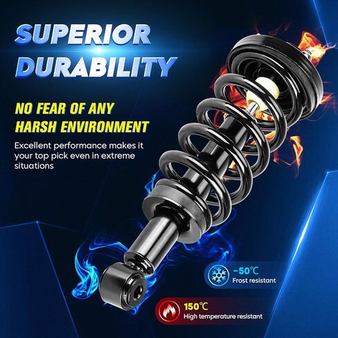 Rear Strut Shock Assembly w/Coil Spring for Ford Expedition/Lincoln Navigator 2007-2017, Replace 171139, Left & Right, 2PCS in Saudi Arabia