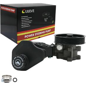 96-70269 Power Steering Pump with Pulley Reservoir Compatible With 2002-2007 Dodge Ram 1500, 20-70269 New Power Assist Pump