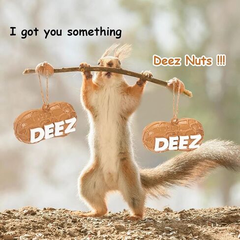 زخرفة Deez Nuts، زخرفة Deez Nuts لعيد الميلاد، زخرفة Deez Nuts المضحكة، زخارف Deez Nuts Pun Lovers لشجرة عيد الميلاد المدرسية هدية هفوة (1 قطعة) in Saudi Arabia
