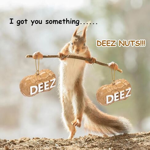 Deez Nuts Ornament, Deez Nuts Christmas Ornament, Funny Deez Nuts Ornament, Deez Nuts Pun Lovers Ornaments for Christmas Tree Schoolbag Gag Gift (1 PCS PVC) in Saudi Arabia