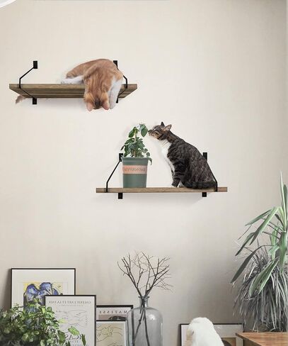 أرفف عائمة للجدار، أرفف عائمة عميقة على الحائط، أرفف حائط ريفية بطول 16 × عرض 12 بوصة، منظم مطبخ خشبي لتخزين غرفة المعيشة وغرفة النوم والحمام، مجموعة متفحمة من 2 in Kuwait