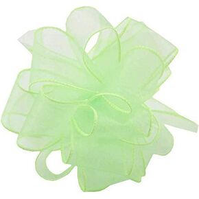 Berwick Offray DWI Sheer Spring Wired Edge Ribbon-1-1/2 Wide X 50 Yards-Lime Ribbon