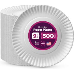 Munfix 500 Pack Uncoated Paper Plates 9 Inch, Everyday Disposable Plates, White Dinner Plates for BBQ Party, Picnics, Travel and Events, Microwavable Recyclable